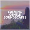 Download track Soundscapes For Gentle Warmth, Pt. 12