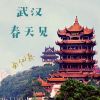 Download track 武汉 春天见 (伴奏)