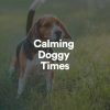 Download track Calming Doggy Times, Pt. 13