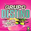 Download track El Paso Del Ganzo