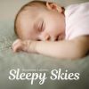 Download track Instrumental Lullabies