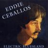 Download track Electric Bluesland