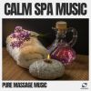 Download track Massage Music