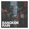 Download track Rainy Skies Settle Over Paris