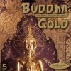 Download track Tango Mystique (Buddha Gold Mix)