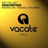 Download track Endorphin (Tribunal Aura Remix)