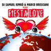 Download track Fiesta Love (D @ Niele Tek Mix)