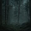 Download track Quiet Forest