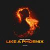 Download track Like A Phoenix (Extended Mix)