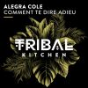 Download track Comment Te Dire Adieu (Extended Mix)