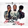 Download track La Danza Del Fuego