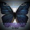 Download track Miami Blue Butterfly (Intro)