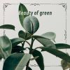 Download track Beauty Of Green N° 2