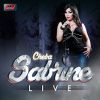 Download track Msaht Fiya El Khodmi (Live)