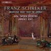 Download track Der Schatzgräber: Symphonic Interlude (Arr. W. Steinmetz For Orchestra)