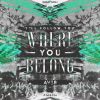 Download track Where You Belong (Radio Edit)