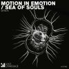 Download track Motion In Emotion (Sioc Remix)