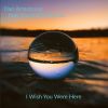 Download track I Wish You Were Here