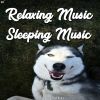 Download track Deep Relaxing Stress Relief