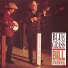 Download track Blue Ridge Mountain Blues