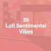 Download track Lo-Fi Afternoons