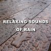 Download track Enjoyable Moonlit Pouring Rain Sounds