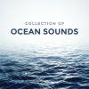 Download track Calm Ocean