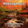 Download track Serene Music For Your Soul