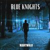 Download track Blue Summer Night