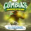 Download track Cumbia Soñadora