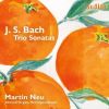 Download track 07. Trio Sonata No. 3 In D Minor, BWV 527 I. Andante