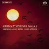 Download track 01 Symphony No. 2 In D - I. Allegretto