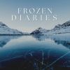 Download track Frozen Pond