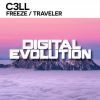 Download track Traveler (Original Mix)