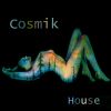 Download track Cosmik House