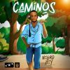 Download track Intro - Caminos