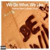 Download track We Do What We Like (Outro)