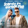 Download track Soarele Pe Strada Mea (Moonsound Remix - Radio Edit)