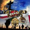 Download track Mi Campo Santo (Live)