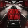 Download track Going Down (Ferry Corsten Remix Edit)