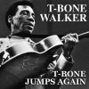 Download track T-Bone Blues