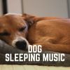 Download track Help Dogs Sleep