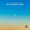Download track Meu Grande Amor (Original Mix)