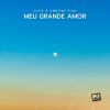 Download track Meu Grande Amor (Melodic Techno Mix)