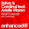 Download track Wait Forever (Daniel Kandis Bangin Remix)