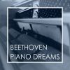 Download track Piano Sonata No. 13 In E-Flat Major, Op. 27 No. 1: 4. Allegro Vivace - Tempo I - Presto