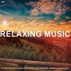 Download track Soothing Ballad