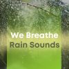 Download track Park Rain Sounds For Sleep