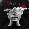 Download track Umshiso (Beast Mode)