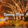 Download track Beautiful Relaxing For Stress Relief